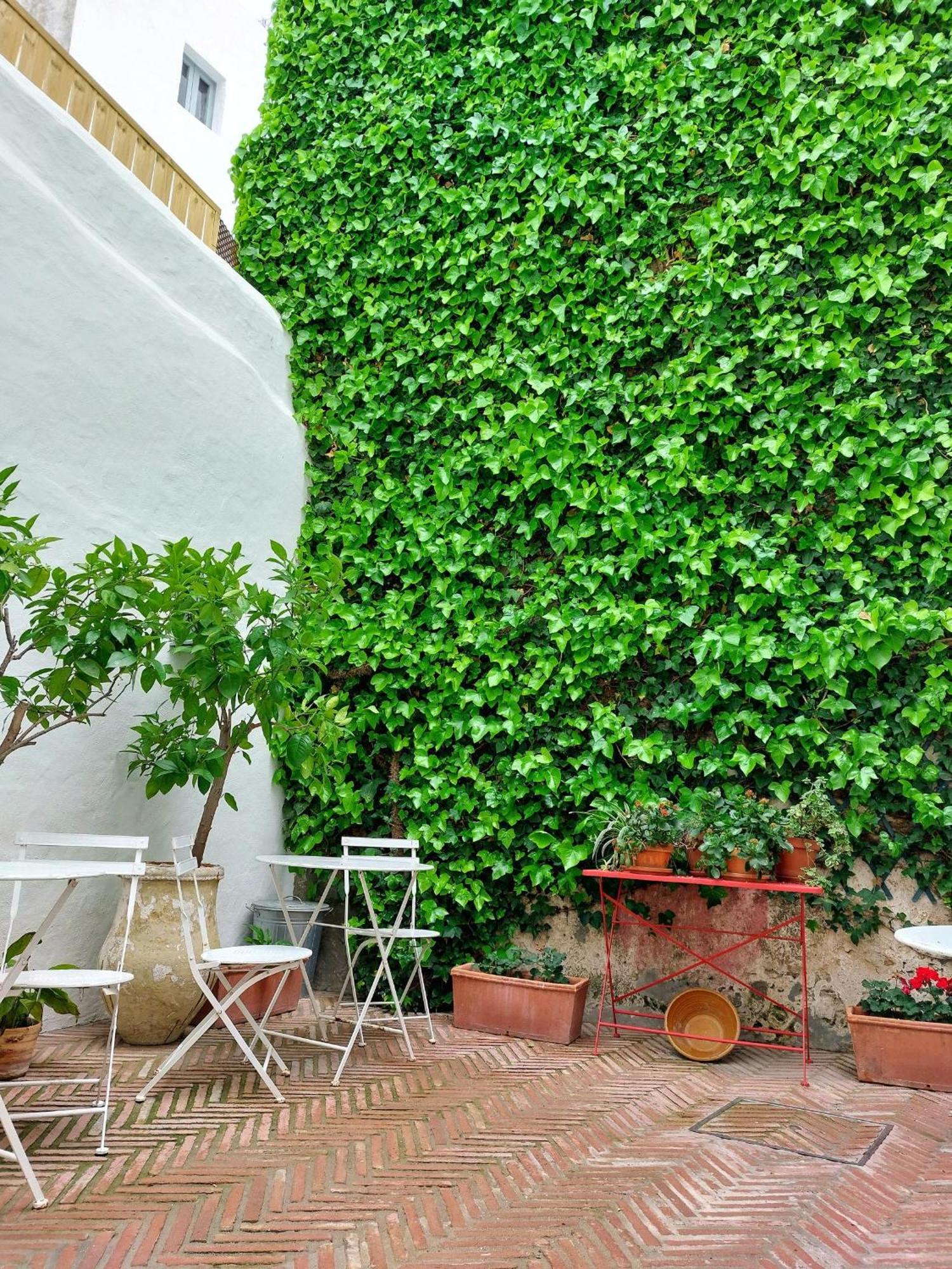 Casa Shelly Hospederia Hotel Vejer de la Frontera Exterior photo